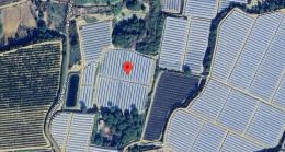 8930   -  Fincas Rústicas en Moguer, Huelva