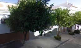 8289   -  Casa en Cabezas De San Juan, Las, Sevilla