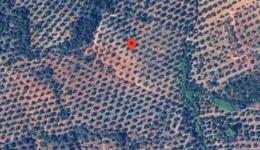 8743   -  Fincas Rústicas en Sorihuela De Guadalimar, Jaén