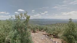 8742   -  Fincas Rústicas en Sorihuela De Guadalimar, Jaén